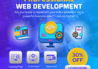 Web-Development-Service